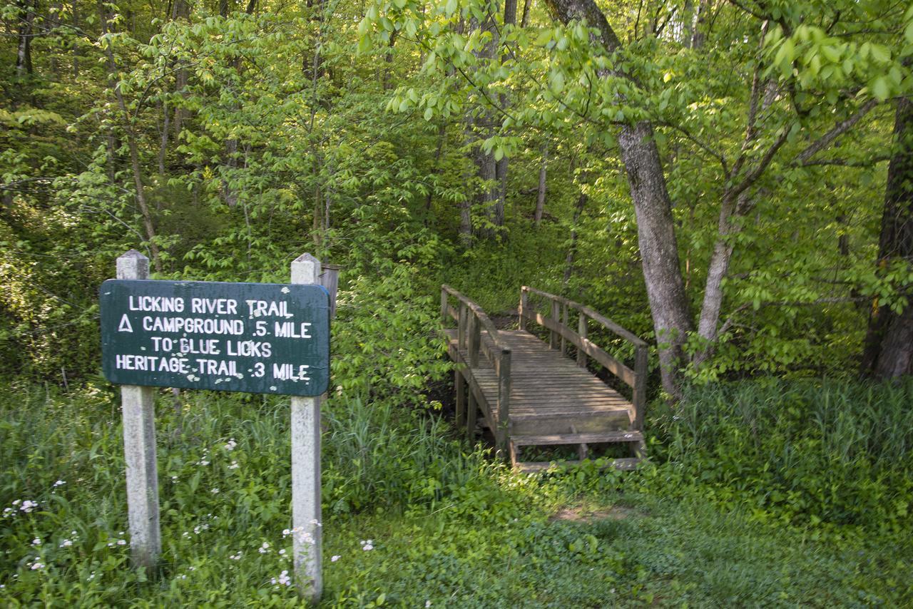 מלון Carlisle Blue Licks Battlefield State Park מראה חיצוני תמונה
